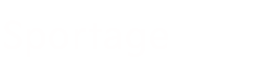 Kia Sportage, Font Logo